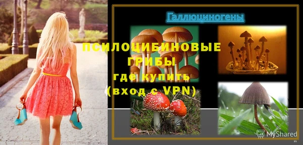 прущие крисы Верхний Тагил