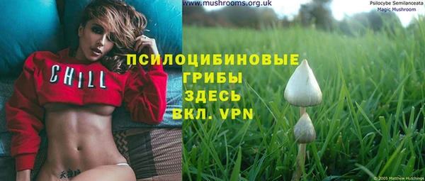 прущие крисы Верхний Тагил